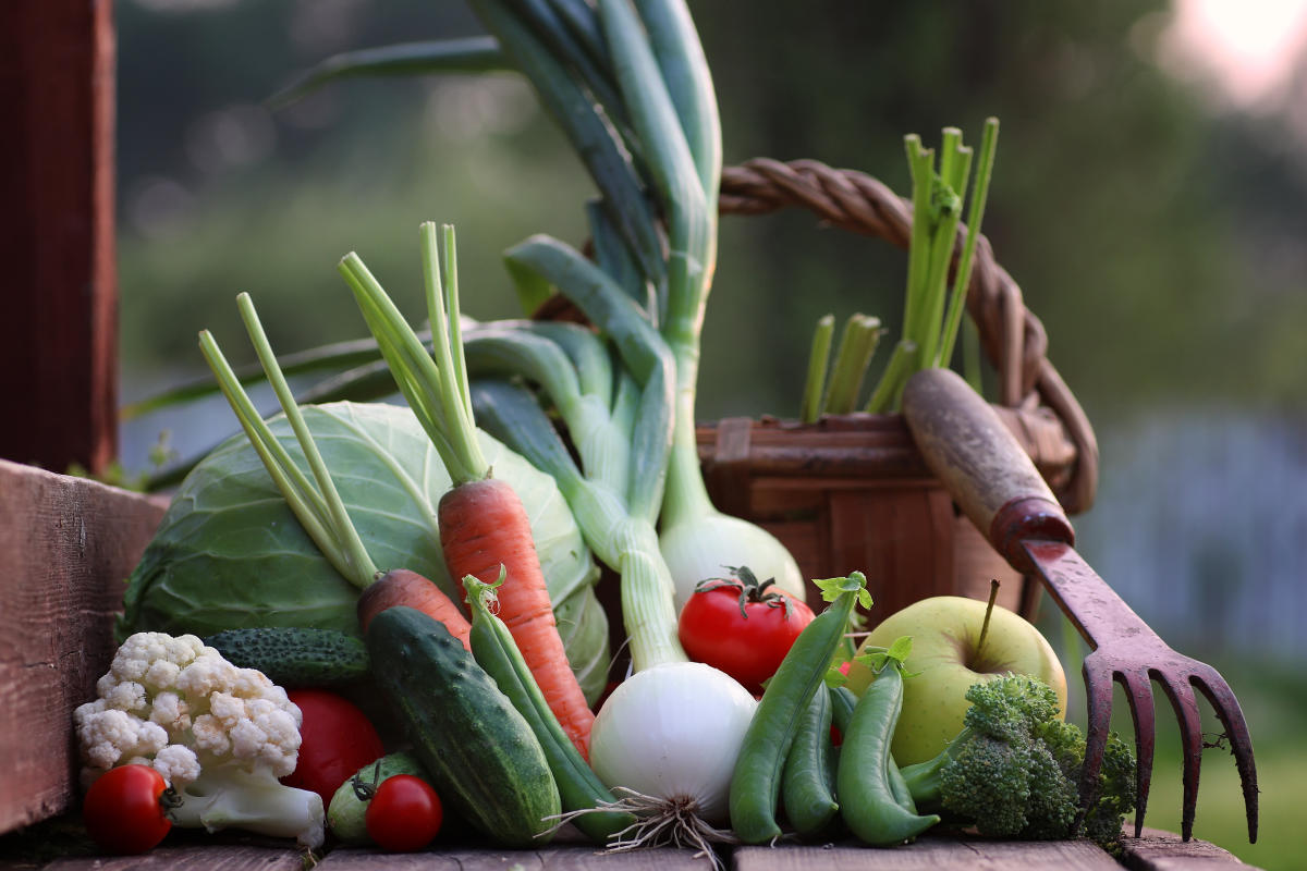 Straight from the farm to fork