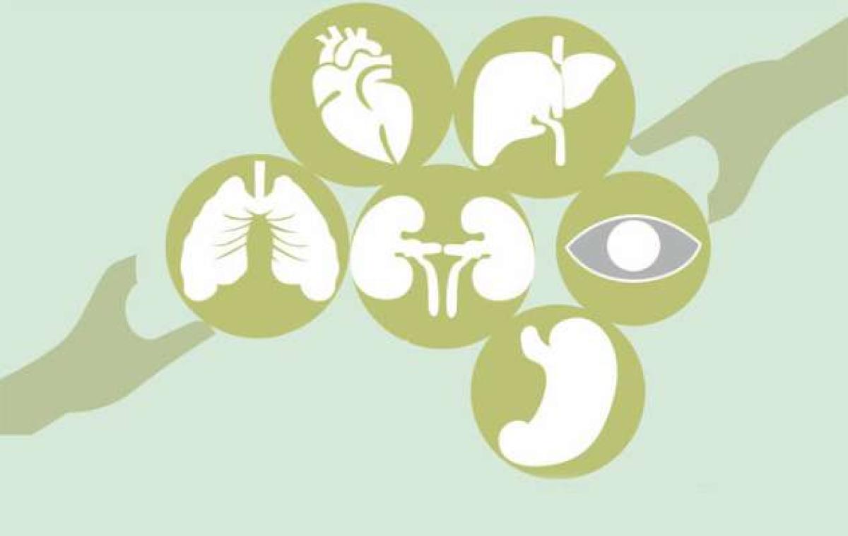 Cadaver donation: ensure dignity, smooth process