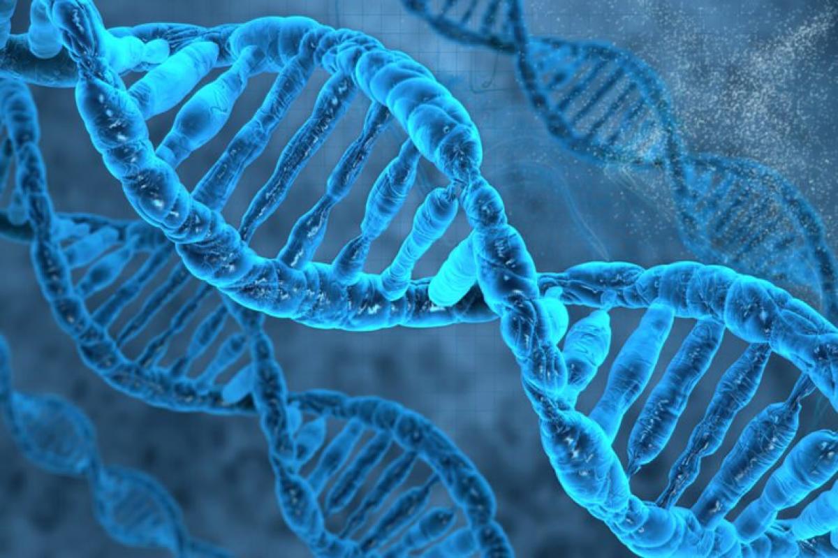 States to have cyber forensic labs, DNA testing soon