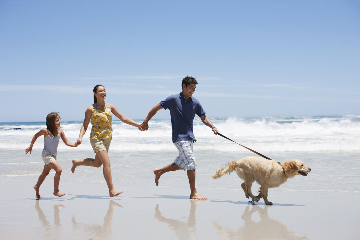 It’s a petcation!