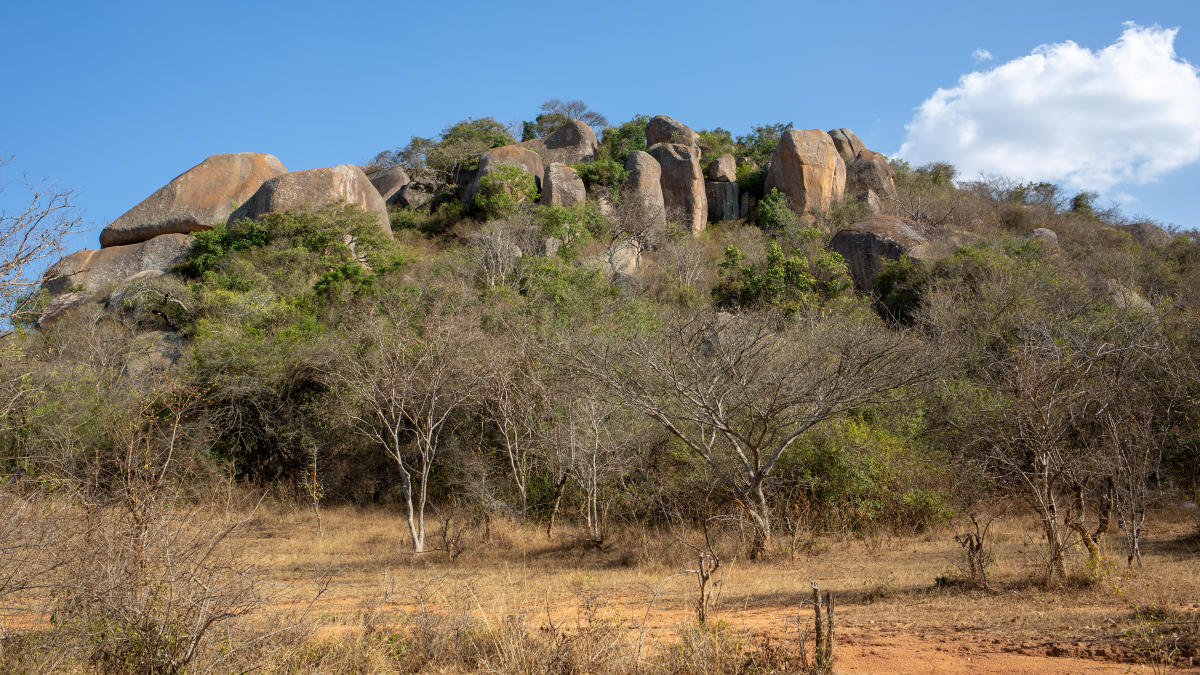 Discovering the fine treasures of Nagpuri