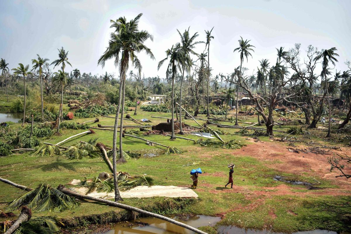 Drones to trace missing deers of Odisha sanctuary