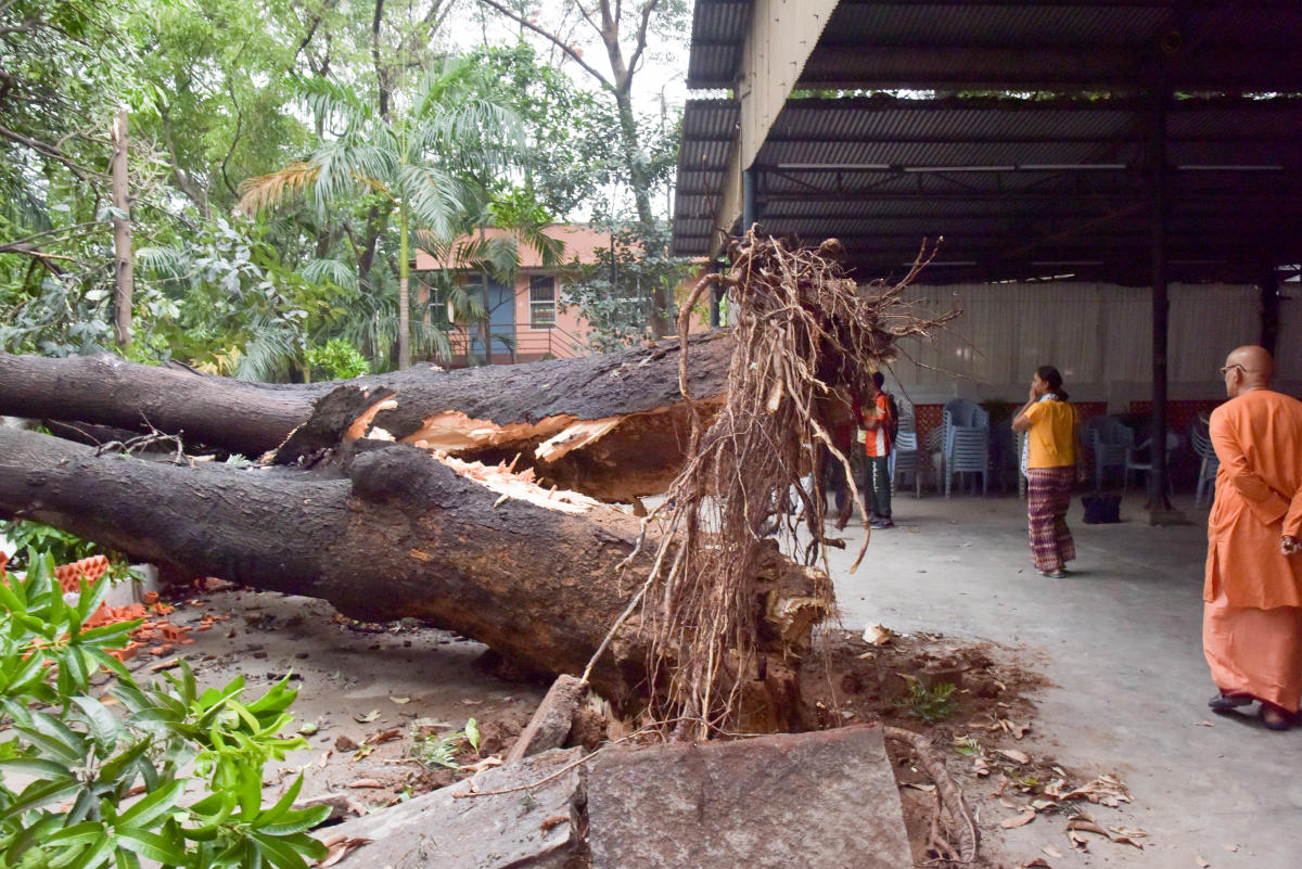 Four hours of torrential rain brings down mercury
