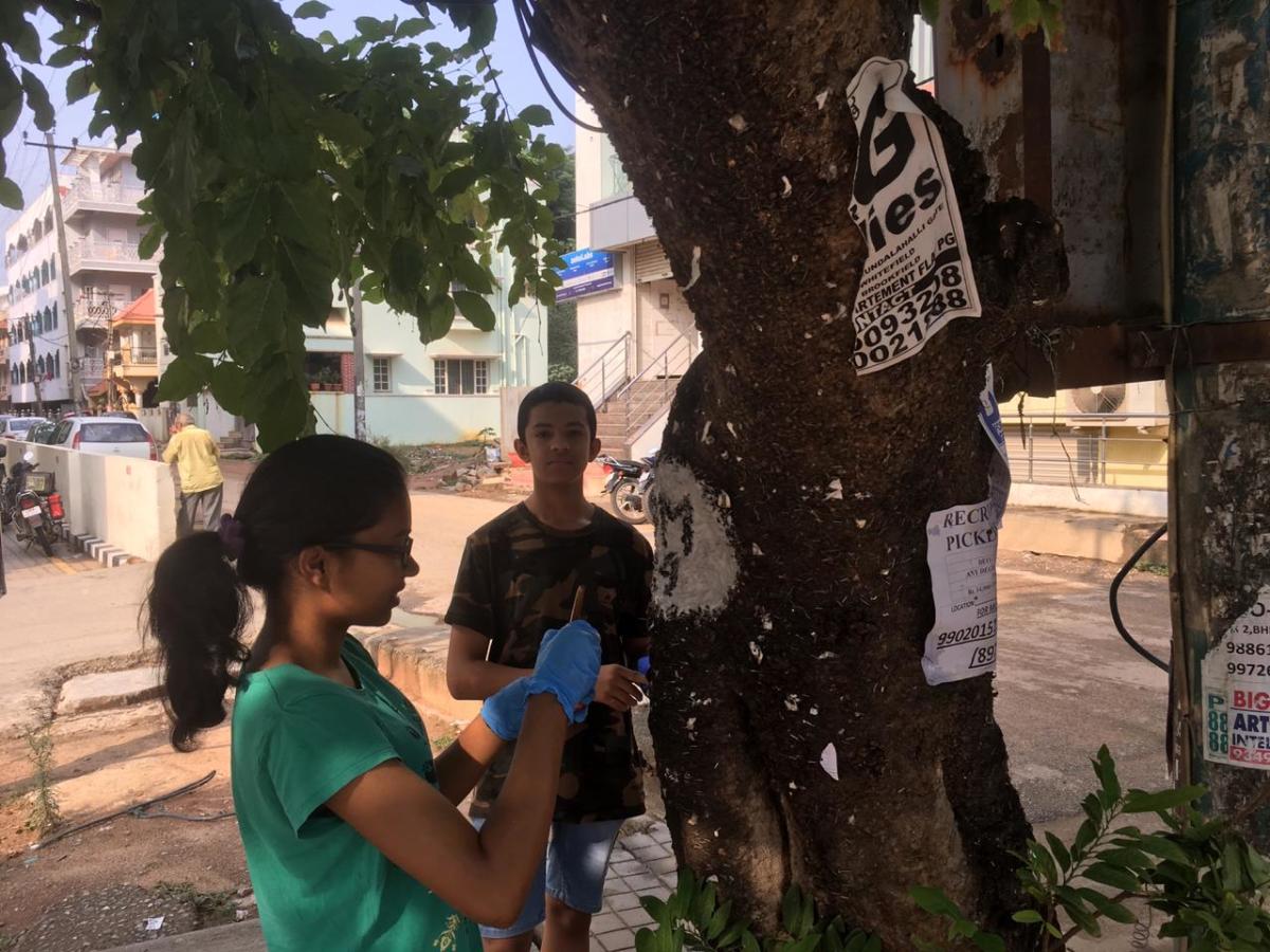 Searing sun in Whitefield? Stop axing trees