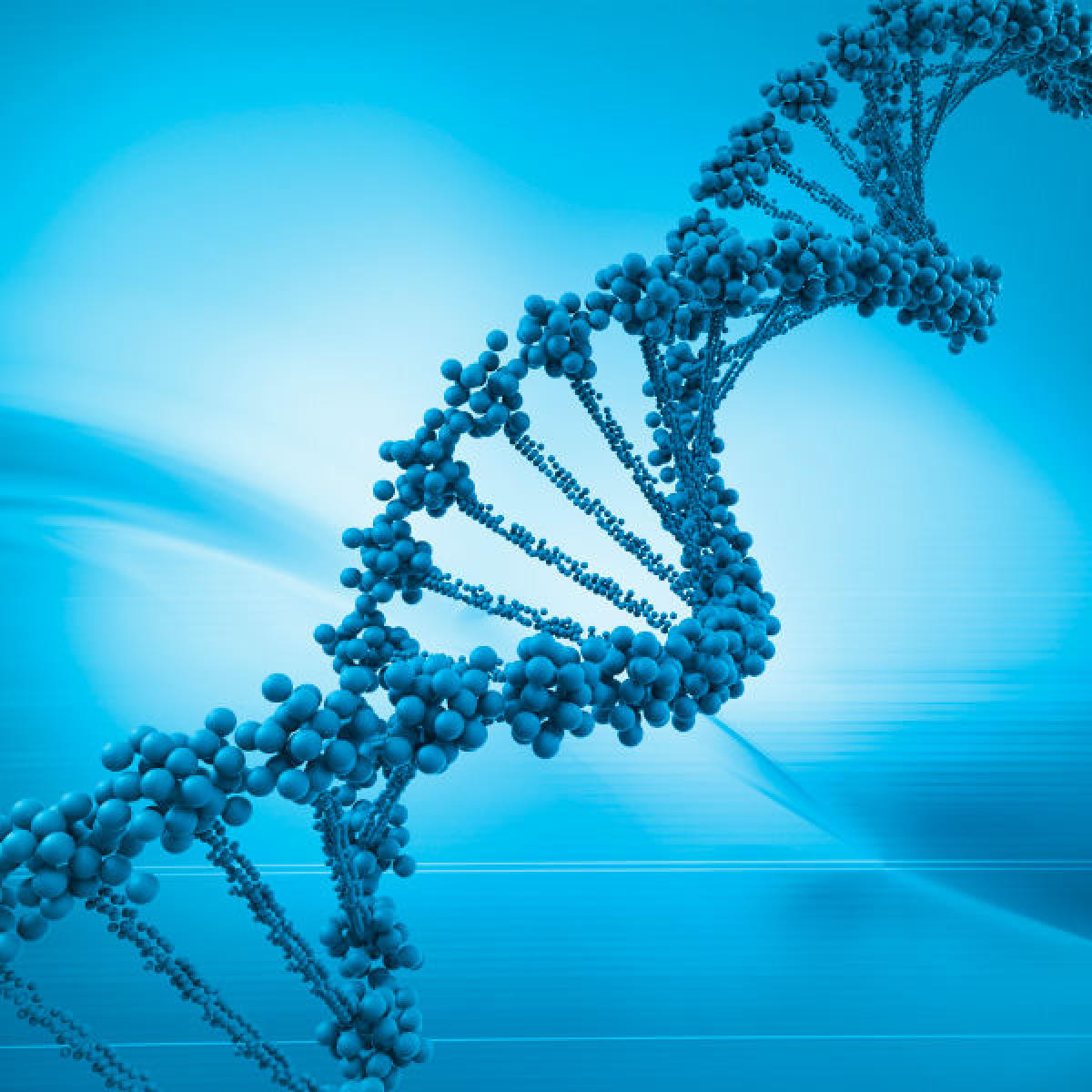 Genes that may hold key to human evolution identified