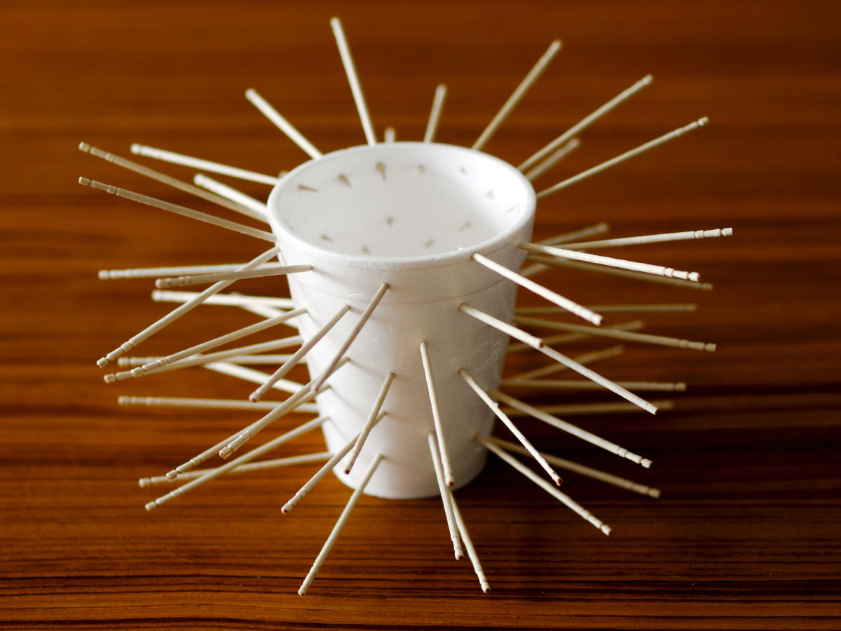 Why should we shun plastics?