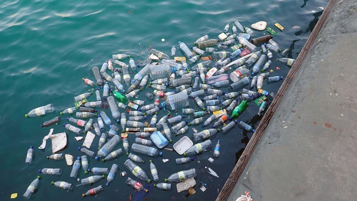 A plastic-free world? Starts with you