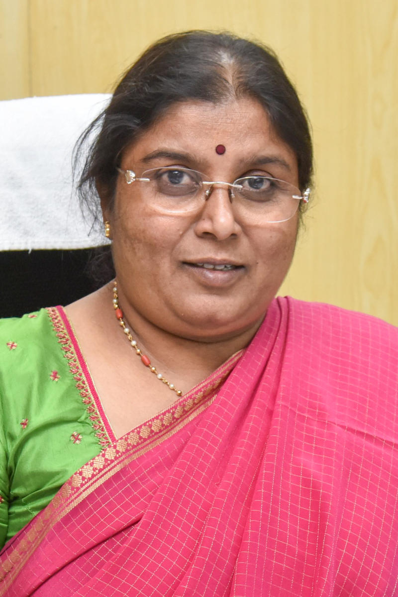 Lack of safety, poor infra irk panel chief