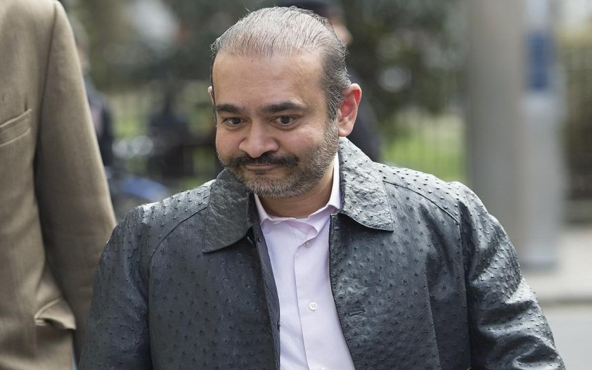 DRT asks Nirav Modi to pay Rs 7,200 cr to PNB 