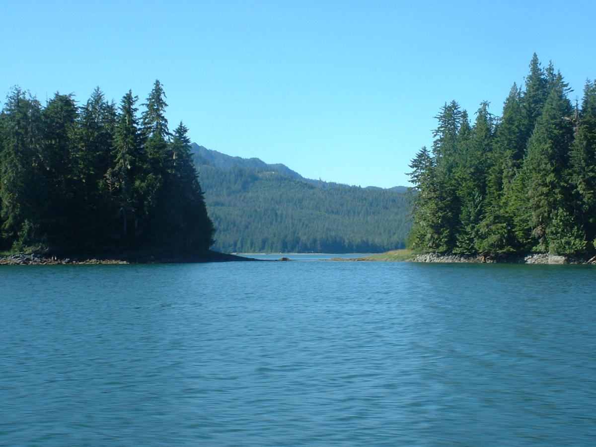 Bears gel in Wrangell