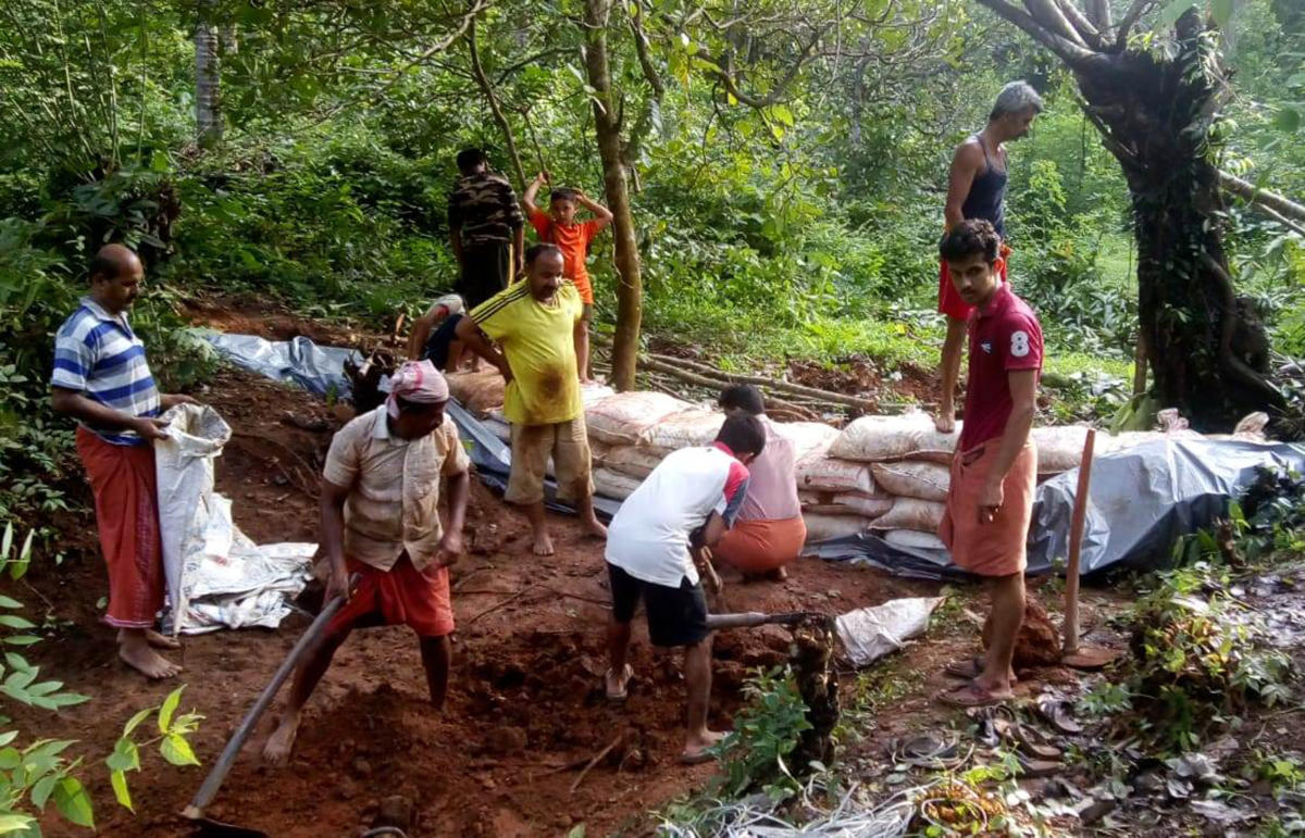 Mapping lifelines, a step towards their revival