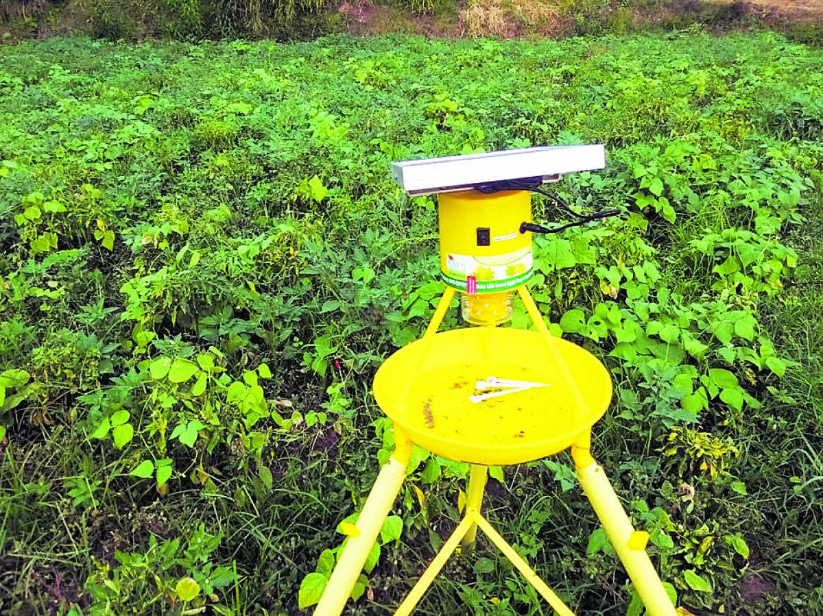 Costly solar-powered insect trap; farmers in shock