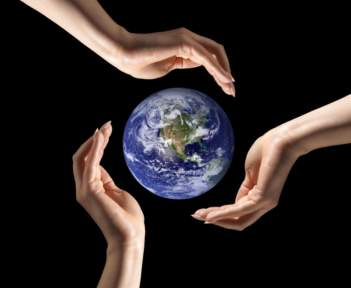 Undergrad BU students must study environmental science