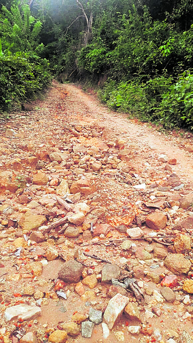 Hendelu village neglected; lacks amenities