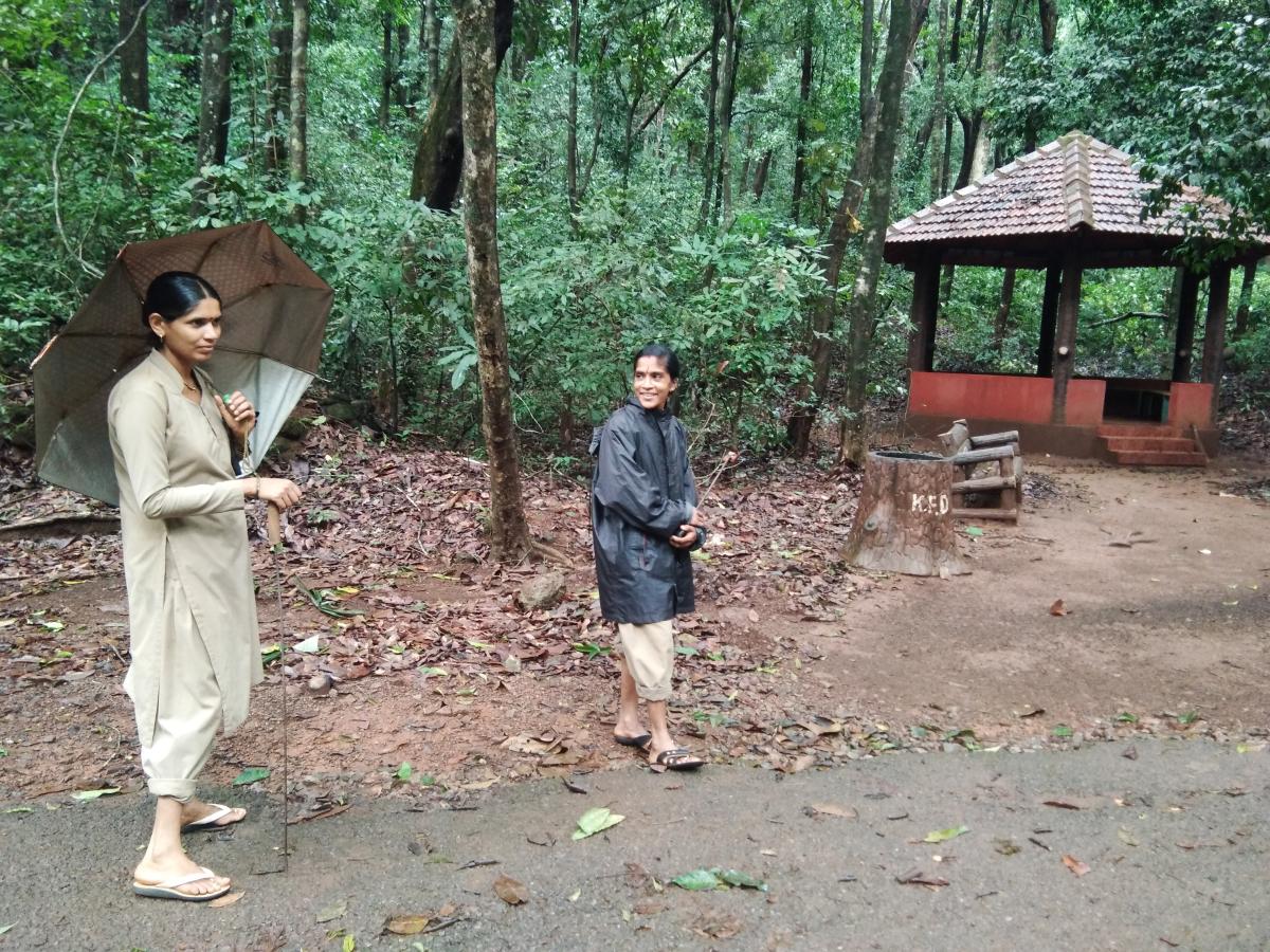 Champions of plastic-free forest