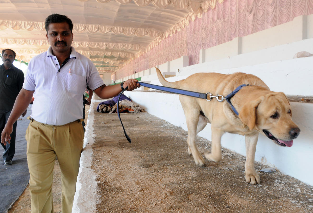 50 more police dogs to relieve overworked canine squad
