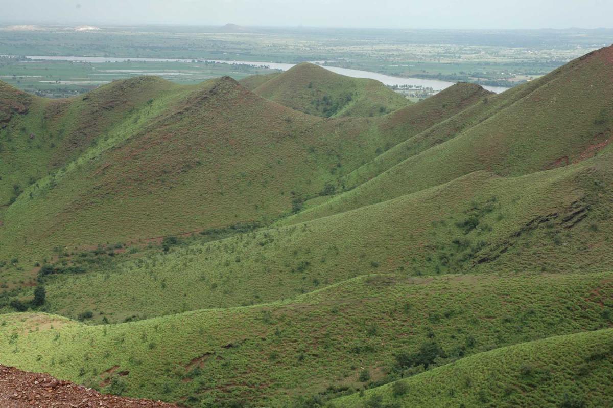 ‘Gold rush’ may force Kappatagudda shed sanctuary tag