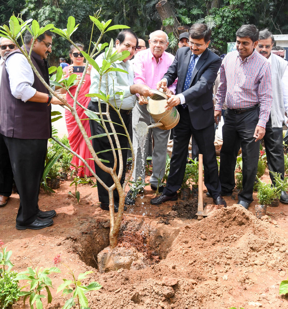 Shrubs to lure butterflies to be planted at Kidwai