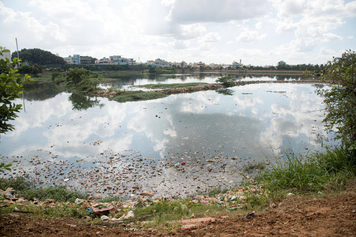 Lake restoration, a fading hope
