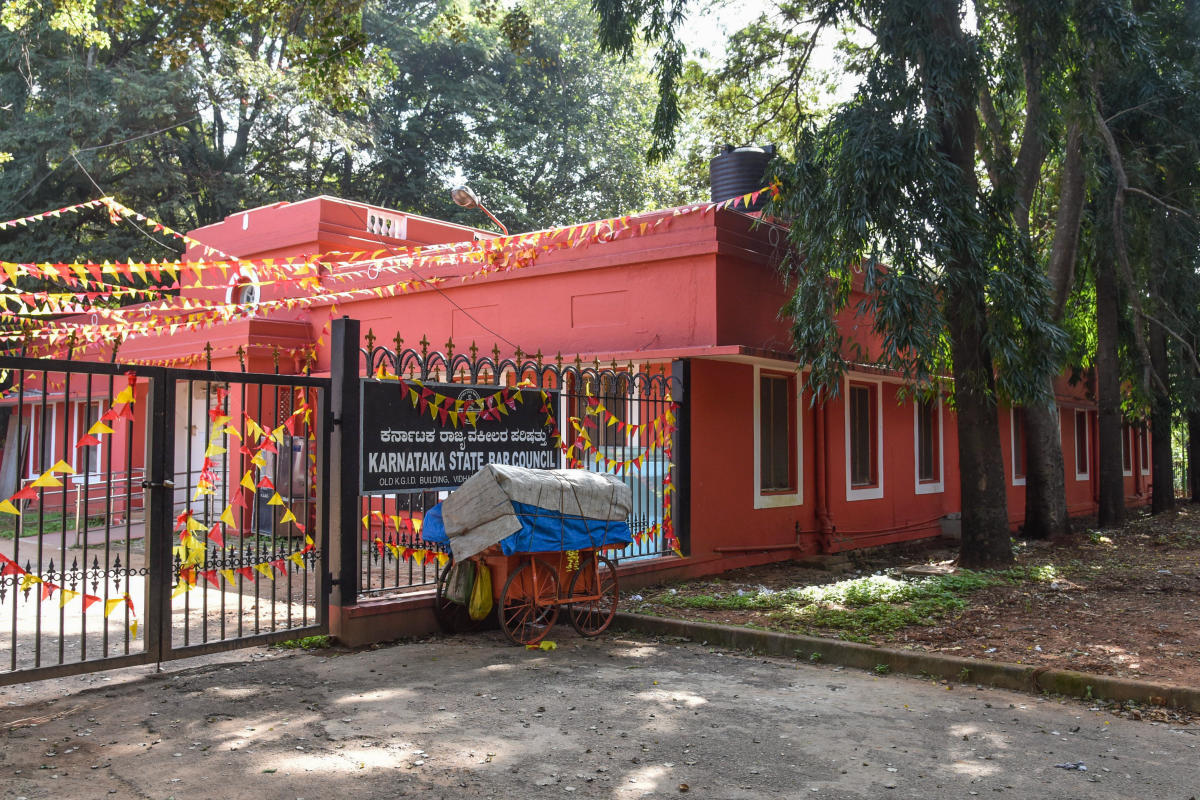 Please don’t play with Cubbon Park