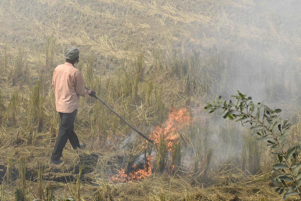 Stubble burning: Shoddy policy