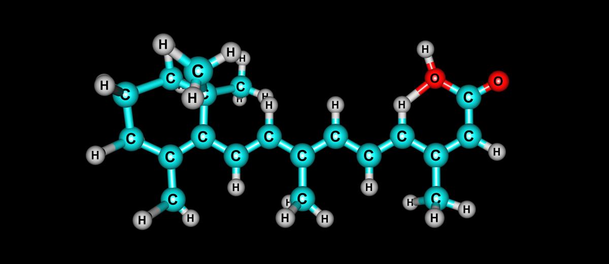 Get to the core with epigenetics