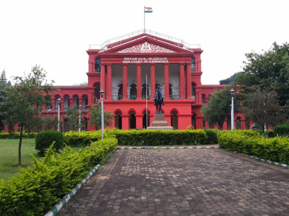 HC slams Palike for submitting wrong affidavit