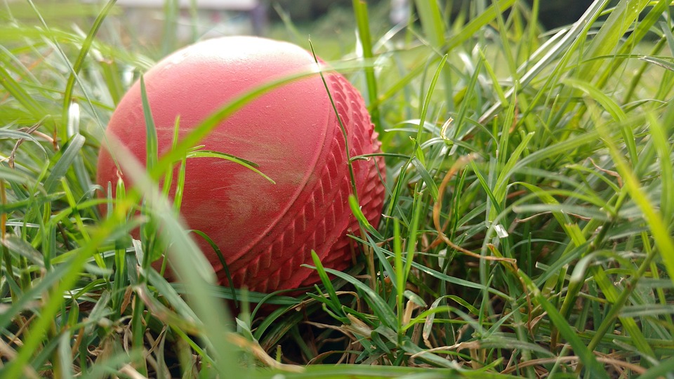 Delhi player banned by BCCI for age fudging