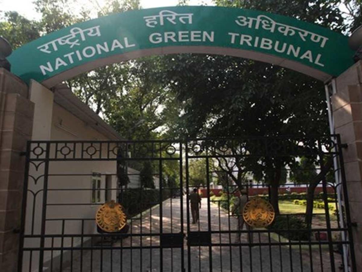 NGT asks Bidar DC to take steps to rejuvenate lake
