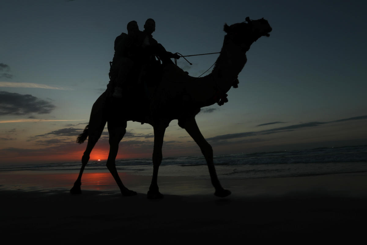 Saving the swimming camels