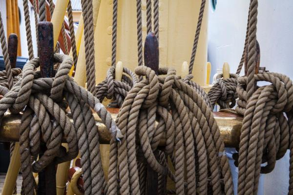 Unravelling a knotty mystery
