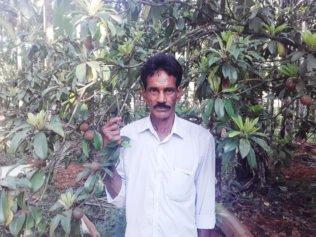 From field to literary field, farmer scripts success