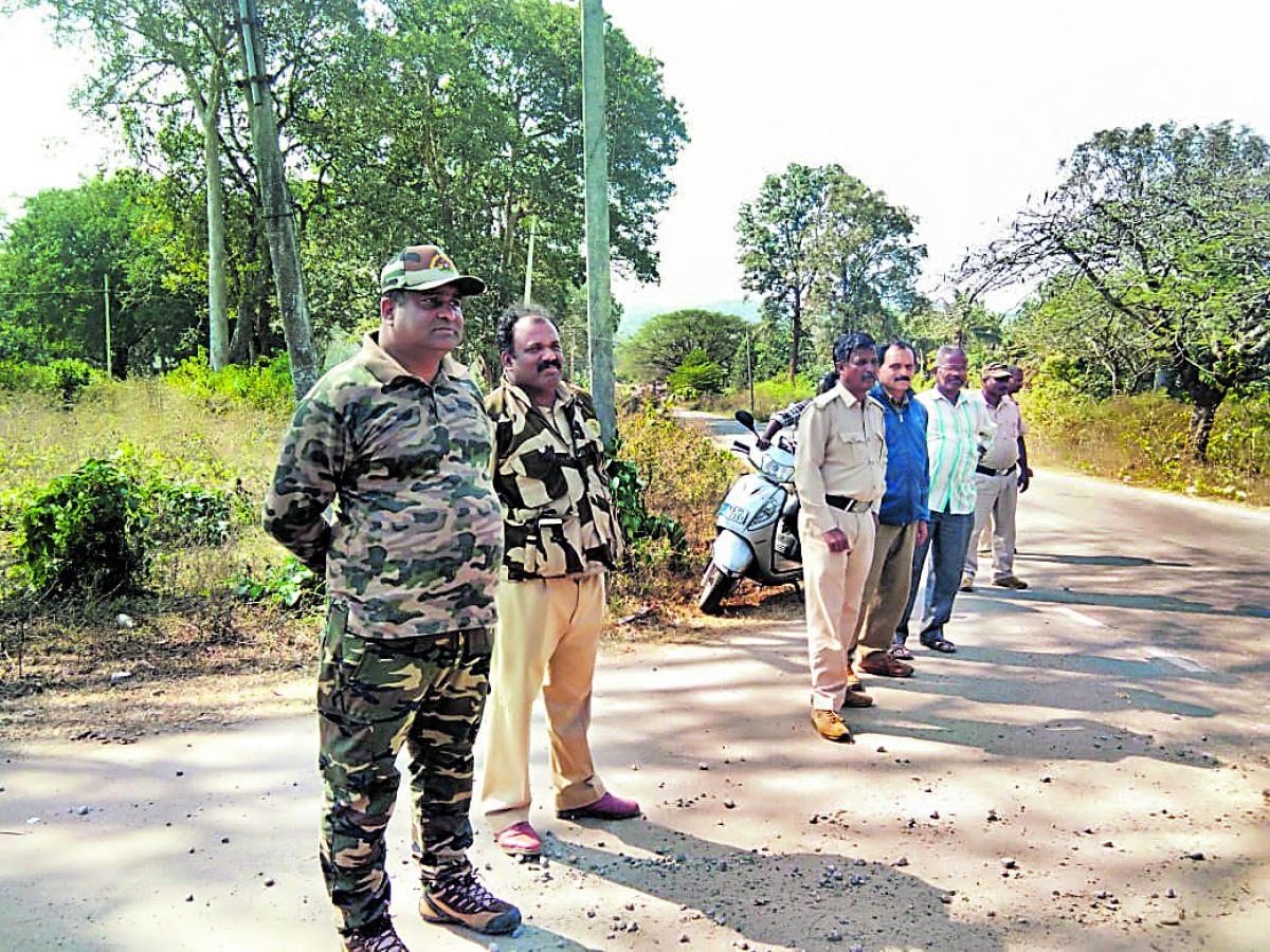 Drive to chase elephants back into the forest