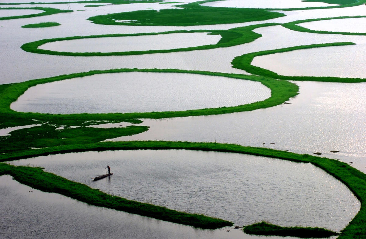 Rooting for RAMSAR wetlands