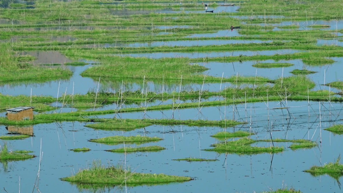 Rejuvenation of Bengaluru lakes: Implement steps required