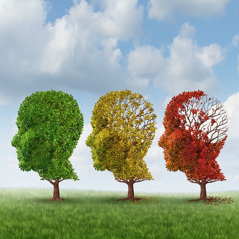 When kin forgot to call on dementia patients, NGO looks up to youngsters