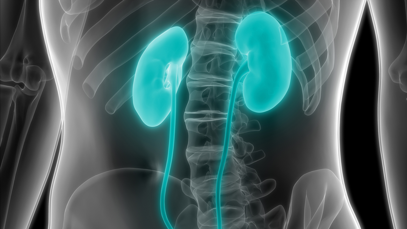 Indian Society of Nephrology Southern Chapter begins 3-day conference