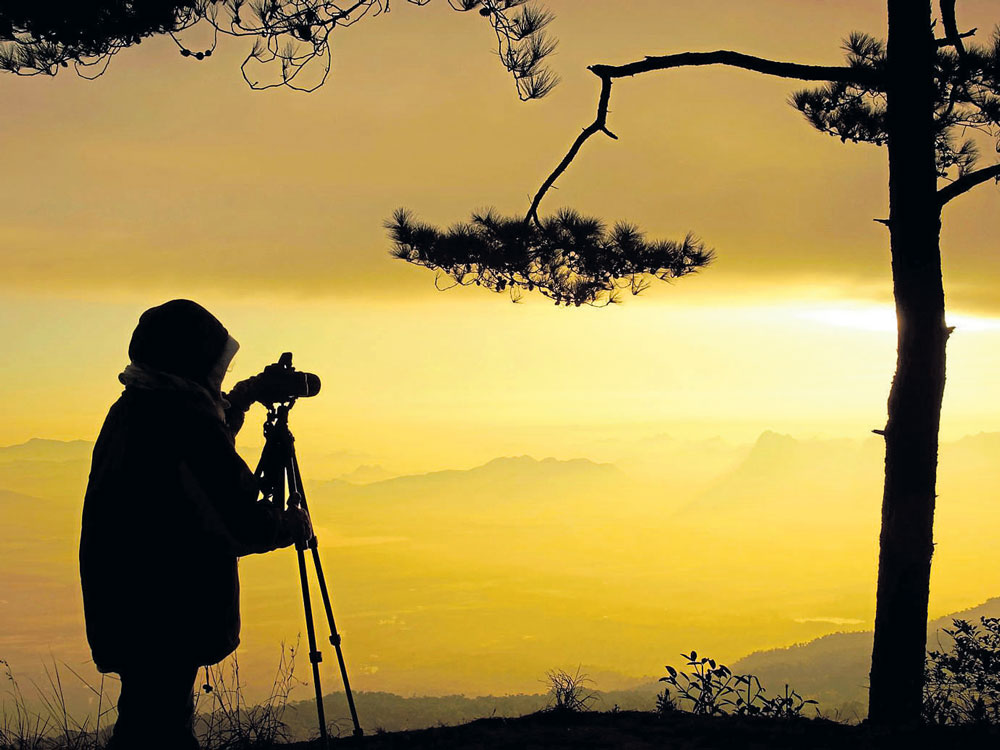 Indian wildlife photographers to follow on social media