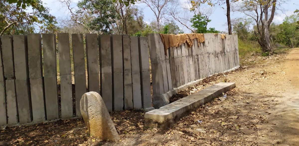 Wildlife activists demand removal of fence