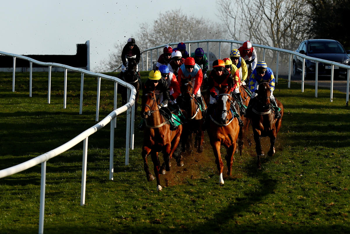 Horses face big health risks