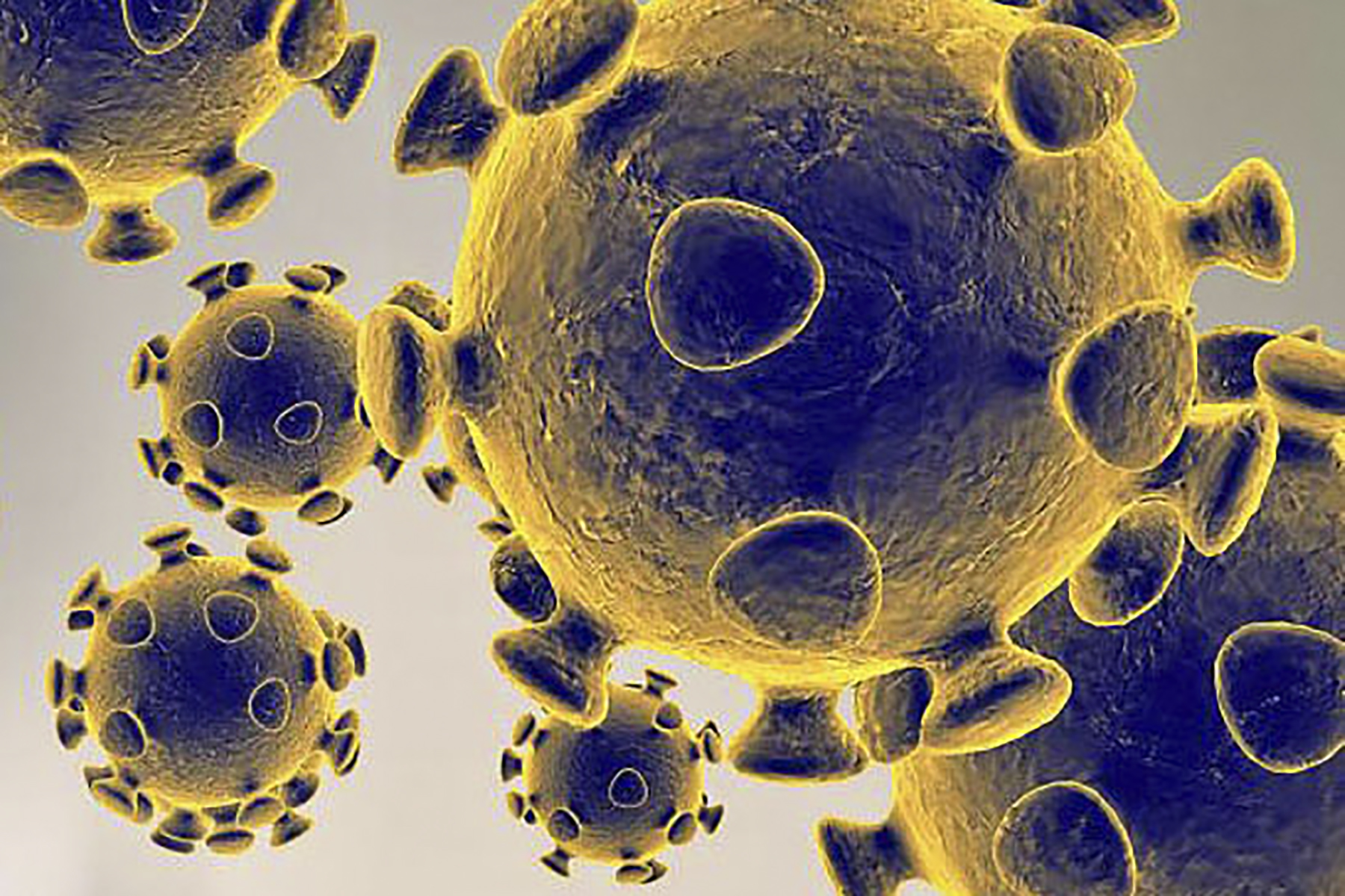 How well do we know viruses?