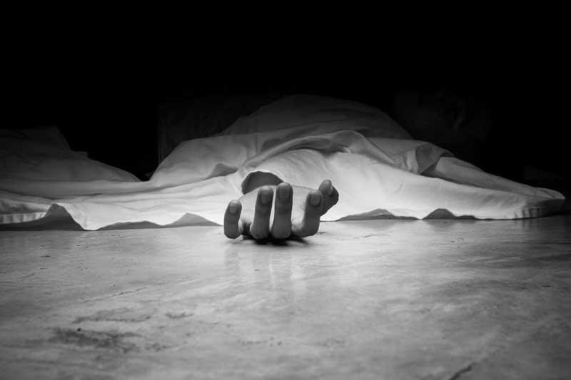 Athi Varadhar darshan: 4 die after standing in queues