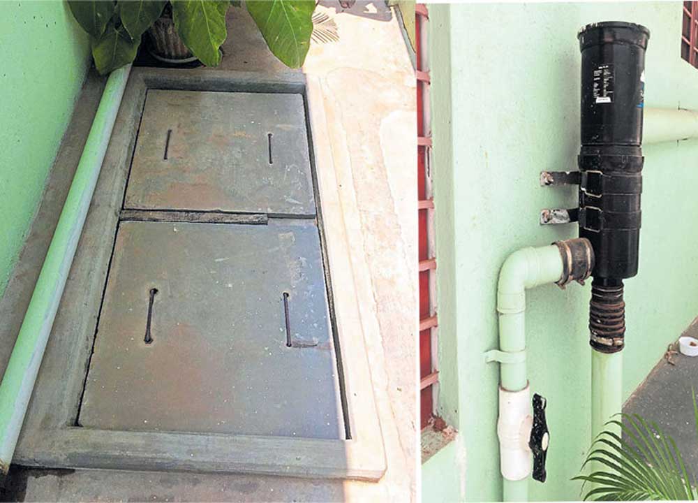 Harvest rainwater to avert water crisis