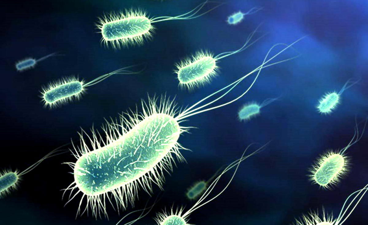 Coronavirus: Sex workers in Bengal in quandary 