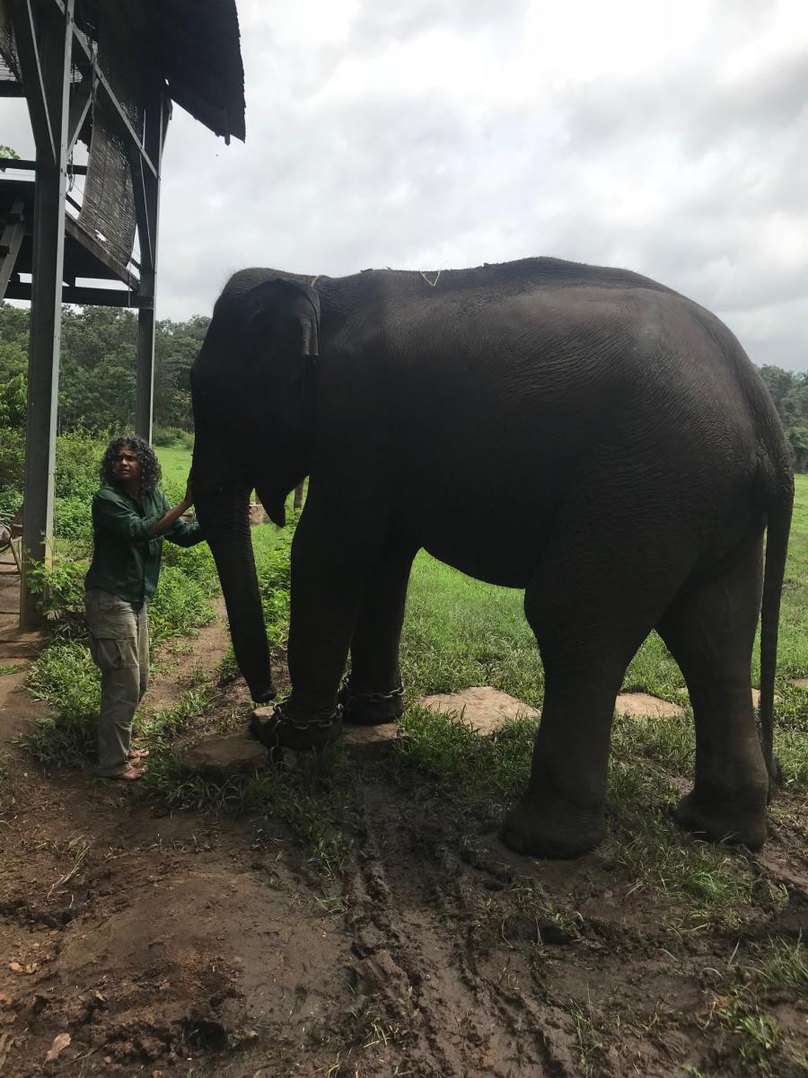 Friends with jumbos
