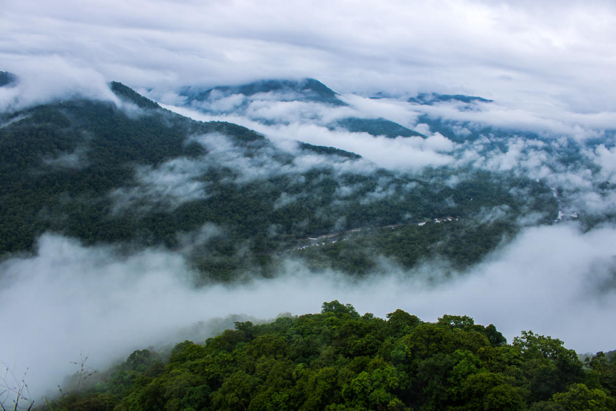 In the shadows of Sahyadri