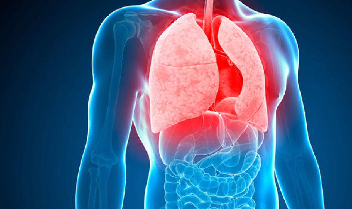 '75% TB patients visiting pvt docs treated incorrectly'