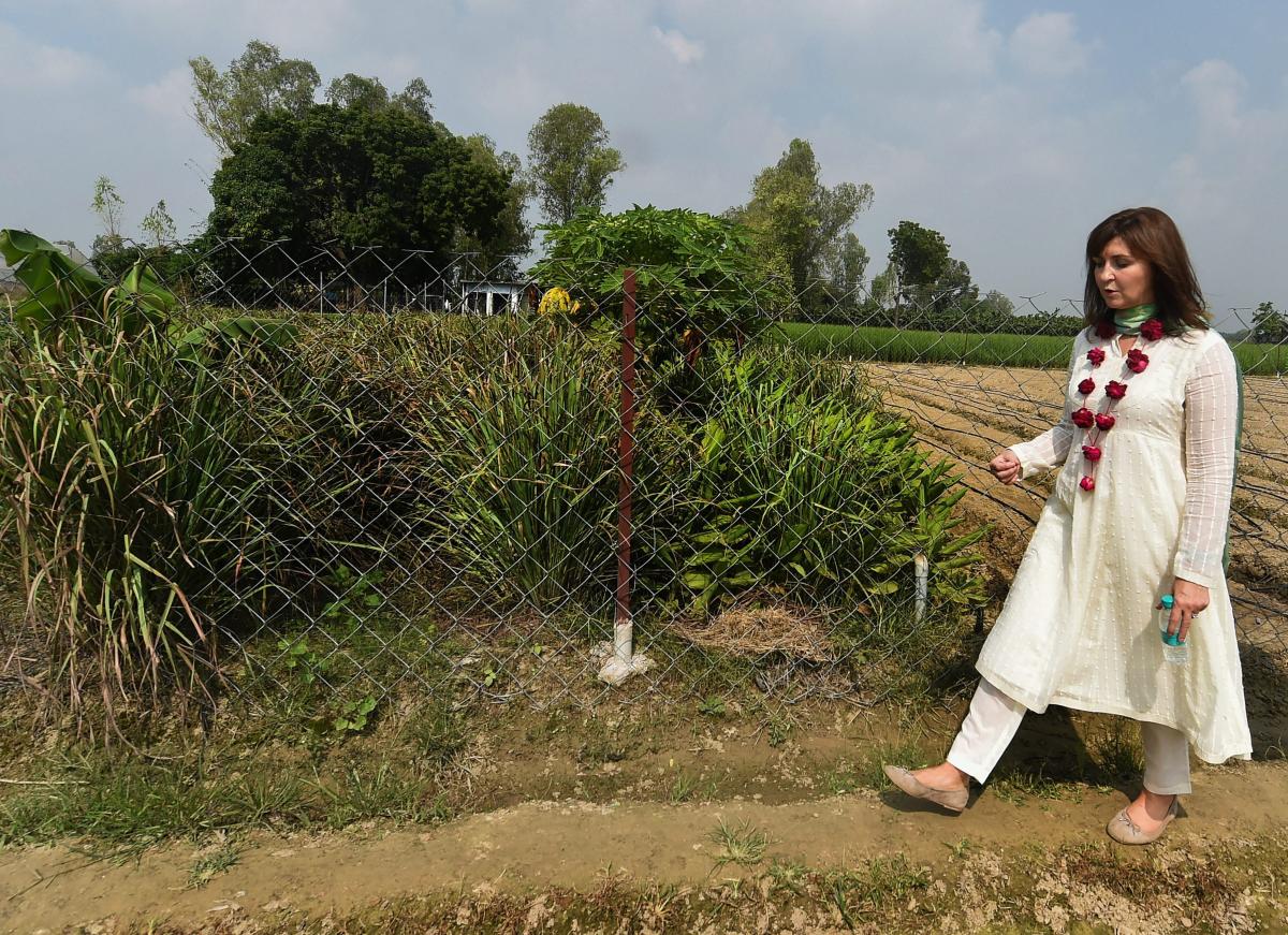 Walmart Foundation to invest around Rs 180 crore 