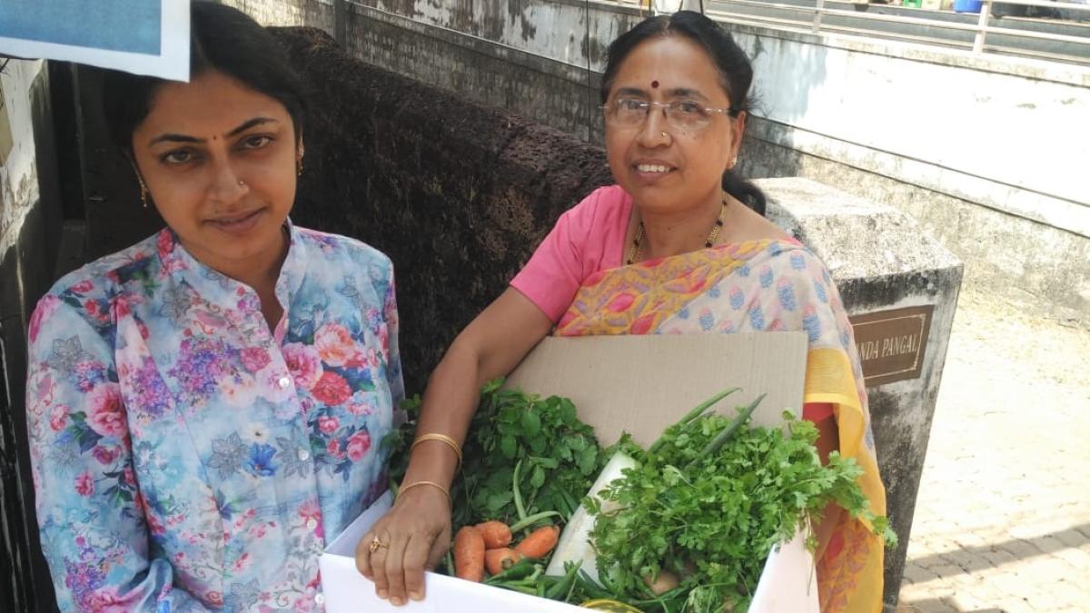 Organic vegetables at your doorstep