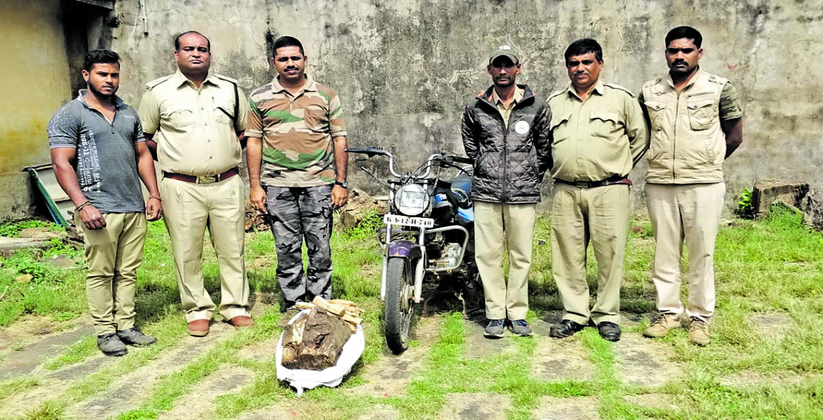 Sandalwood worth Rs 1 lakh seized